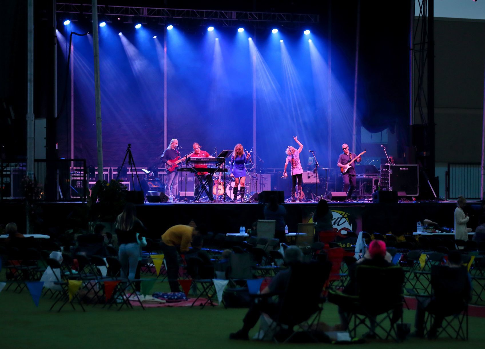 Drive-In St. Louis music and movies